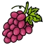 Giống nho